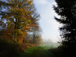 herbst02.thumb