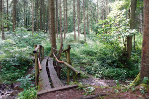 Brücke über den Toedtbach